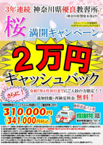 青葉自動車学校（桜満開キャンペーン2025年）